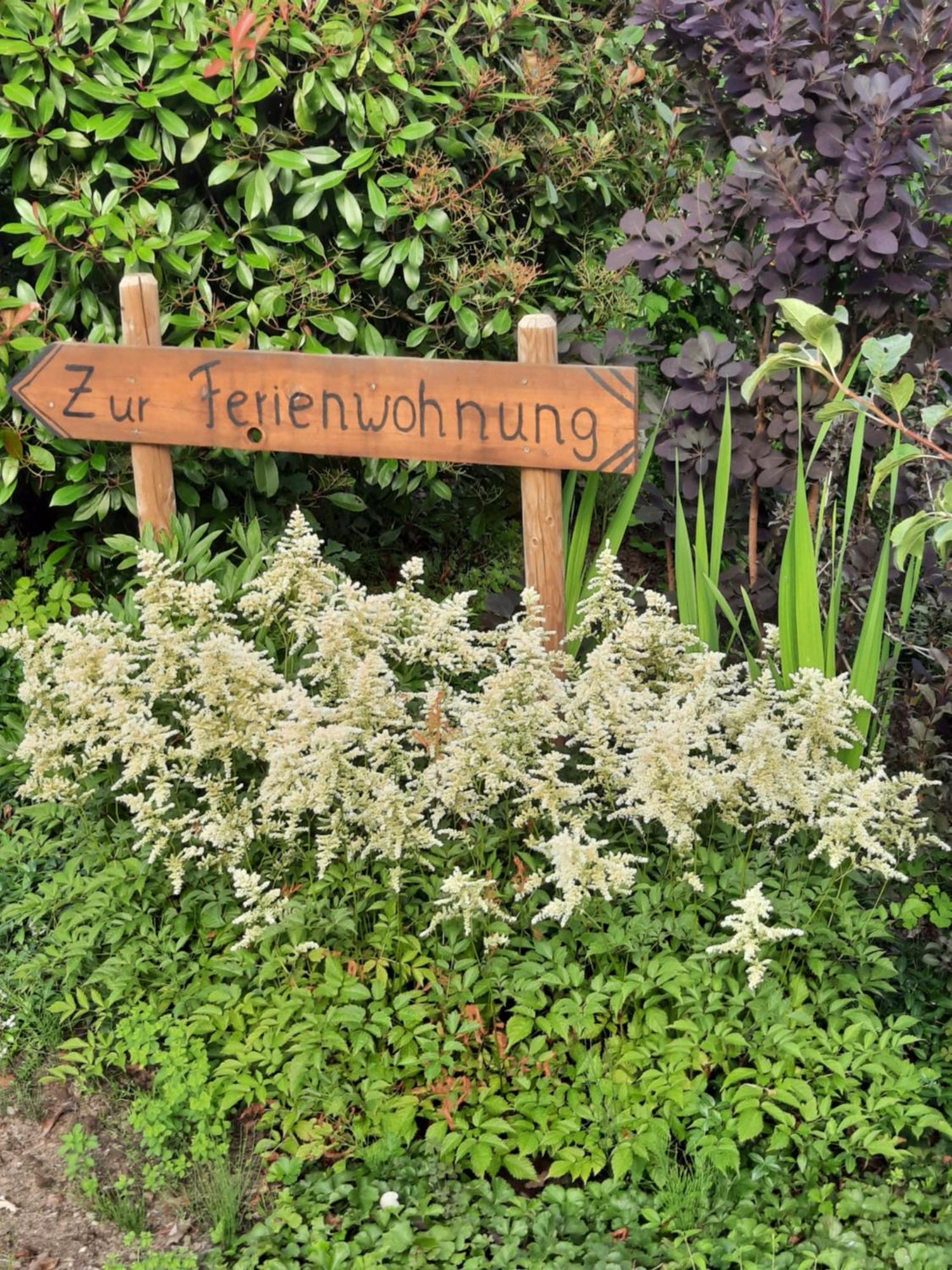 Ferienwohnung van den Berg Rees Buitenkant foto